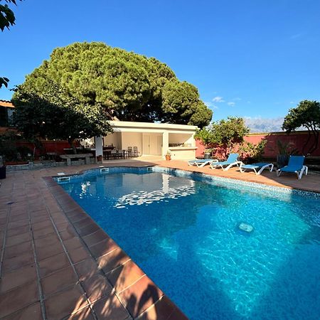 Residence Antonia Appartements Avec Piscine Commune - Centre Ville Calvi Calvi  Luaran gambar