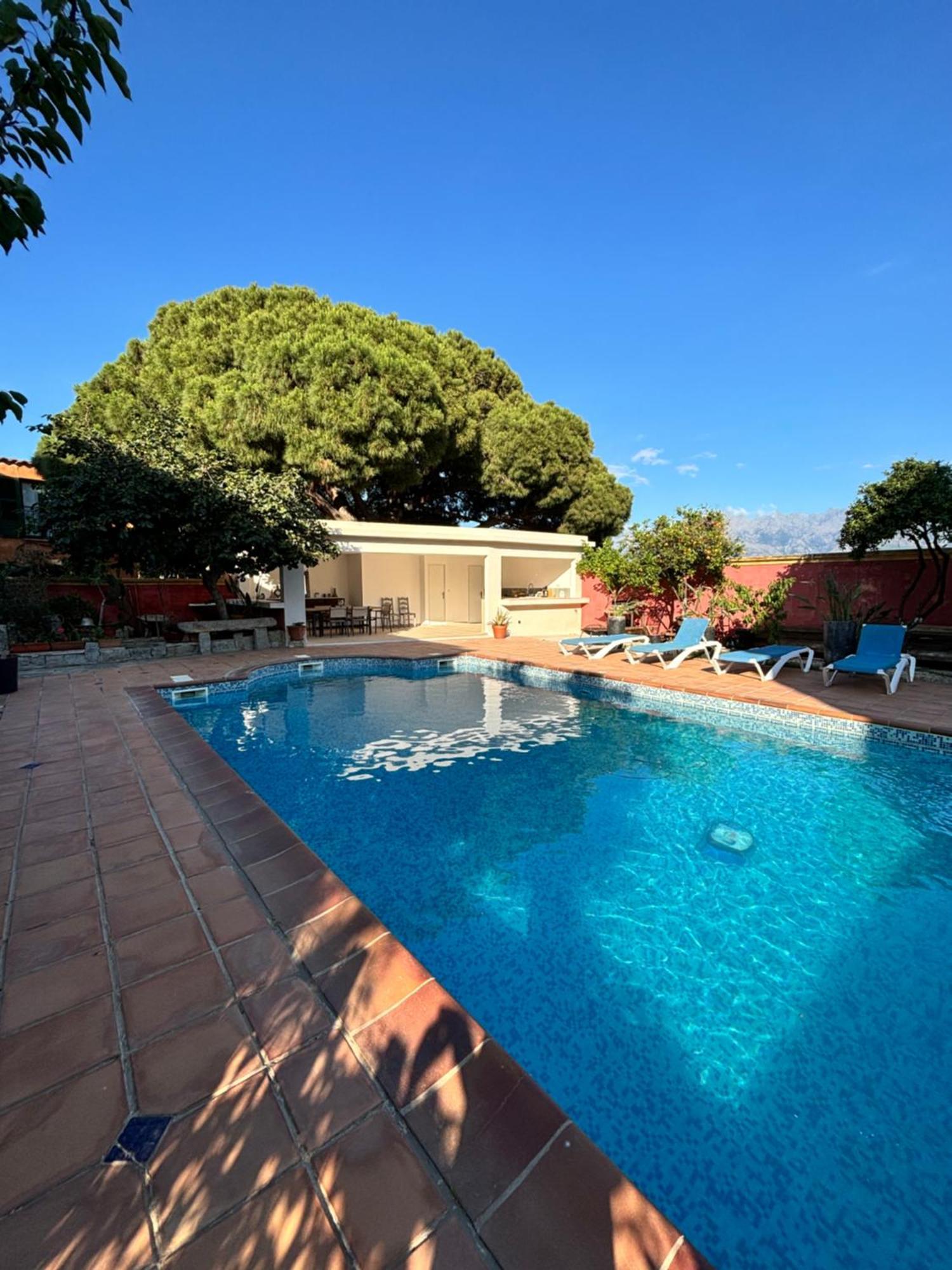 Residence Antonia Appartements Avec Piscine Commune - Centre Ville Calvi Calvi  Luaran gambar